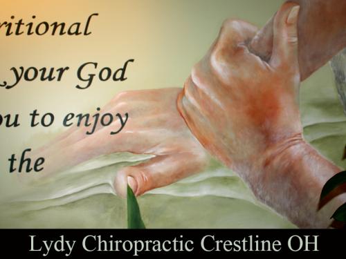 17-Lydy-Chiropractic